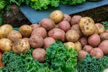 Vøksturin í sølu av mati og alkoholfríum drykkivørum stendur ikki við