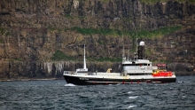 fiskur