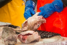 fiskur